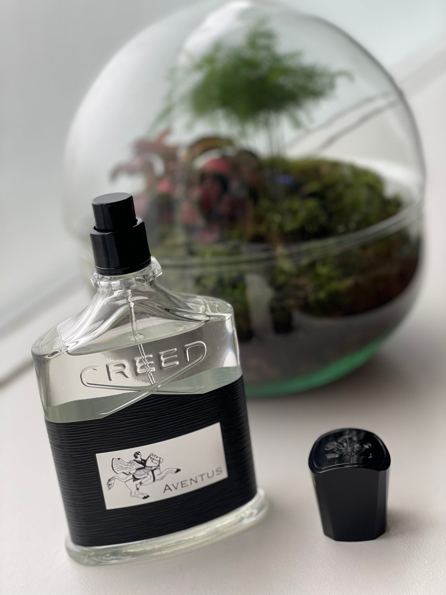 Aventus perfume online